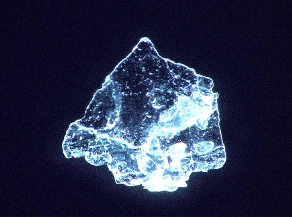 Sample-with-contrast-enhancing-600x447-1.jpg