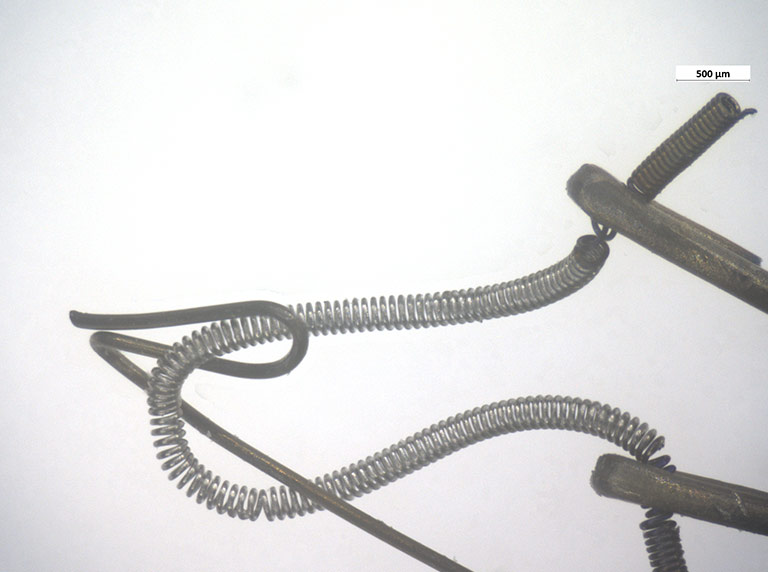 DeepFocus-1-Bulb-filament-2-deep-focus.jpg